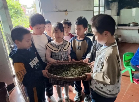 微信截图_20240413083621.jpg