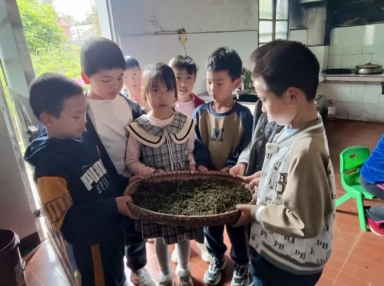 微信截图_20240417182319.jpg