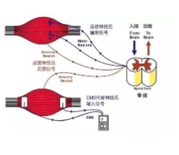 微信截图_20240607181859.jpg