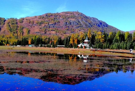 /ueditor/image/20260122/1769043978115410/微信截图_20260122090554.png 微信截图_20260122090554.png