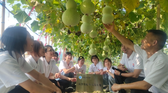 /ueditor/image/20260707/1783389868858140/微信截图_20260707100242.jpg 微信截图_20260707100242.jpg