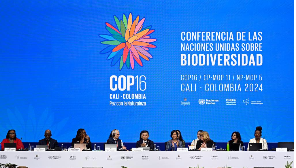 1730107817956478.png 图片1.png