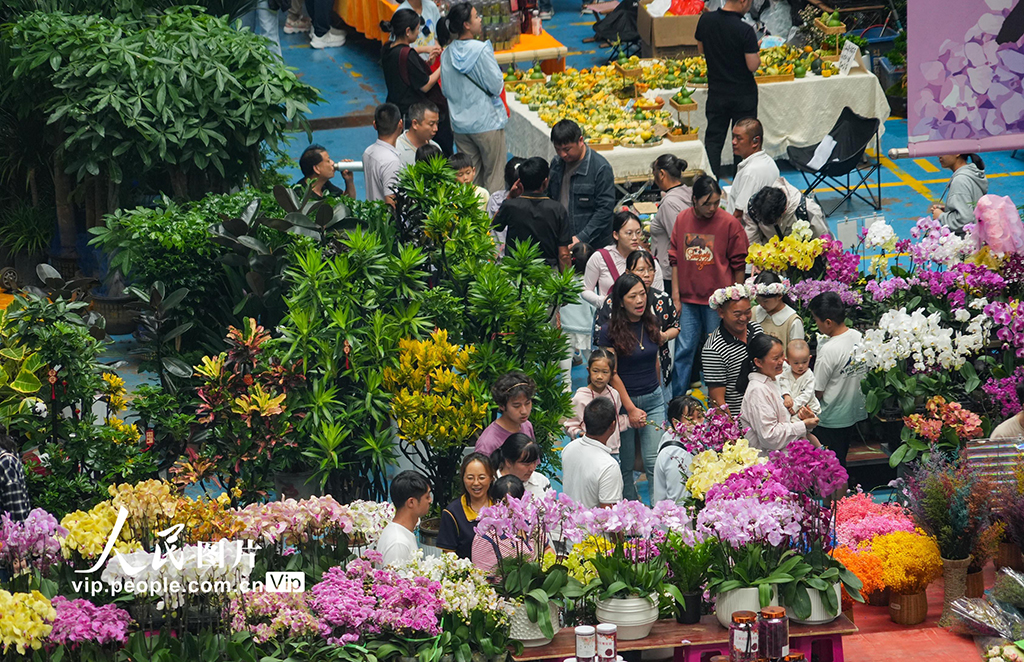 云南昆明：斗南花市鲜花俏销