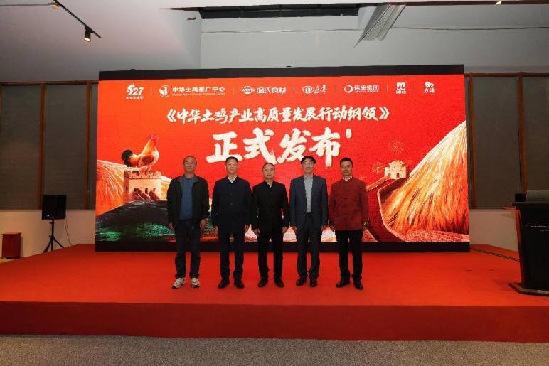 论坛现场。主办方供图