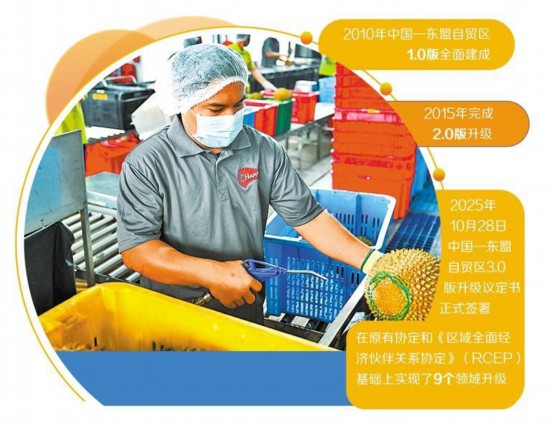 10月16日,在马来西亚雪兰莪州的一家榴莲加工厂,工作人员准备对分类完成的榴莲进行初步清理。新华社记者 程一恒摄