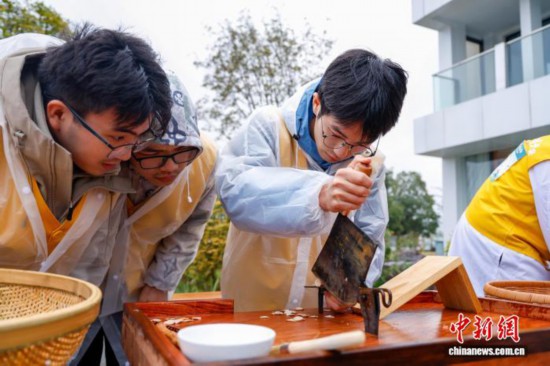 图为选手在比赛中切白芍。中新社记者 肖健 摄