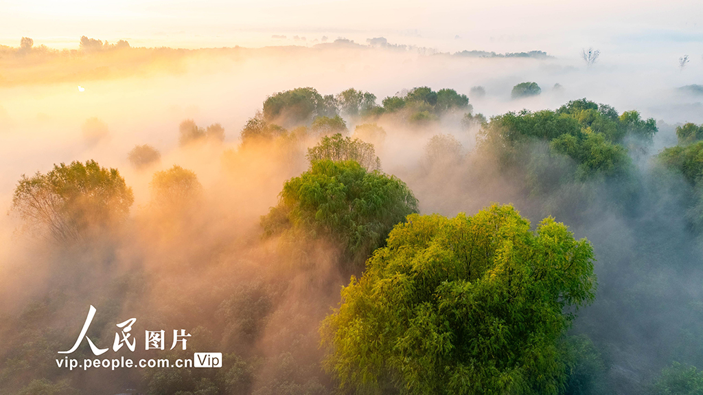 安徽淮北：冬日云海