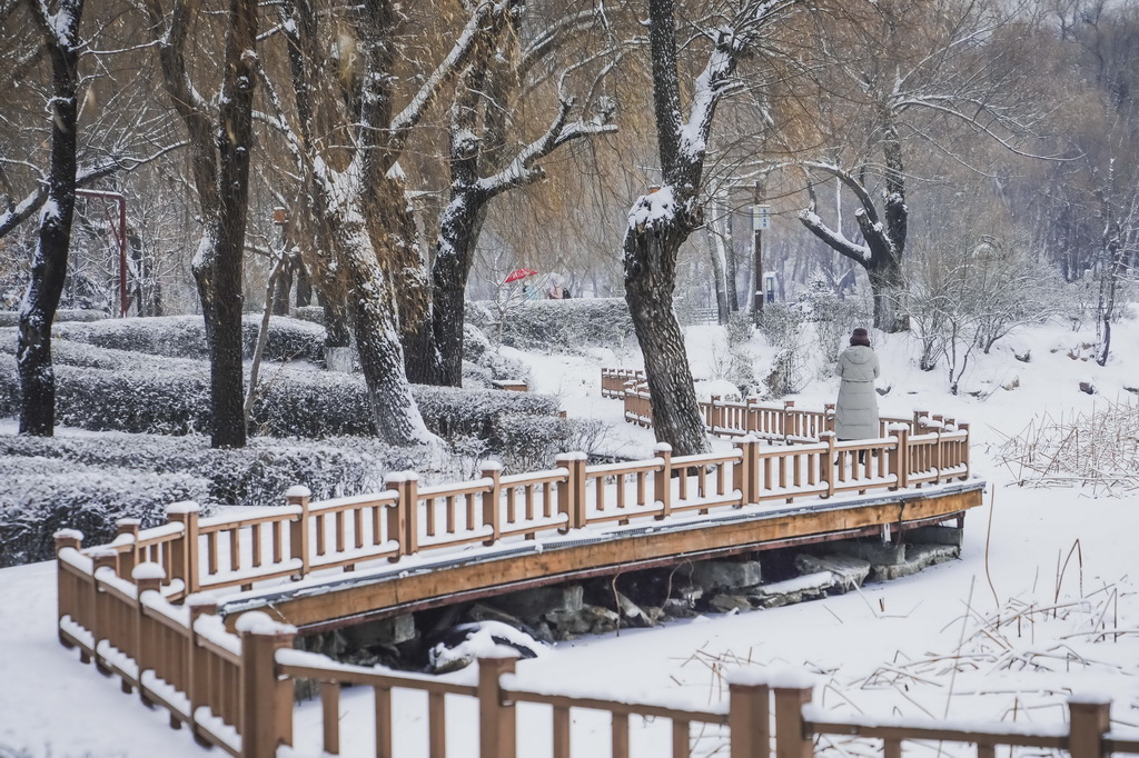 12月23日，市民在长春市南湖公园内观赏雪景。