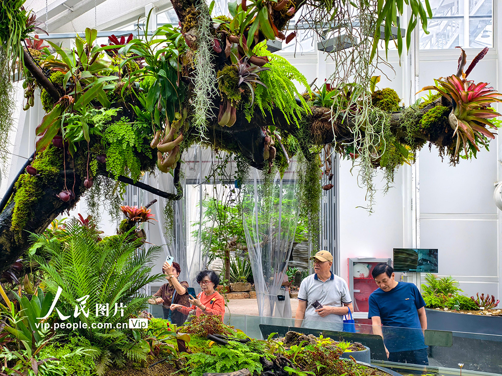 浙江宁波：奇花异草引客来