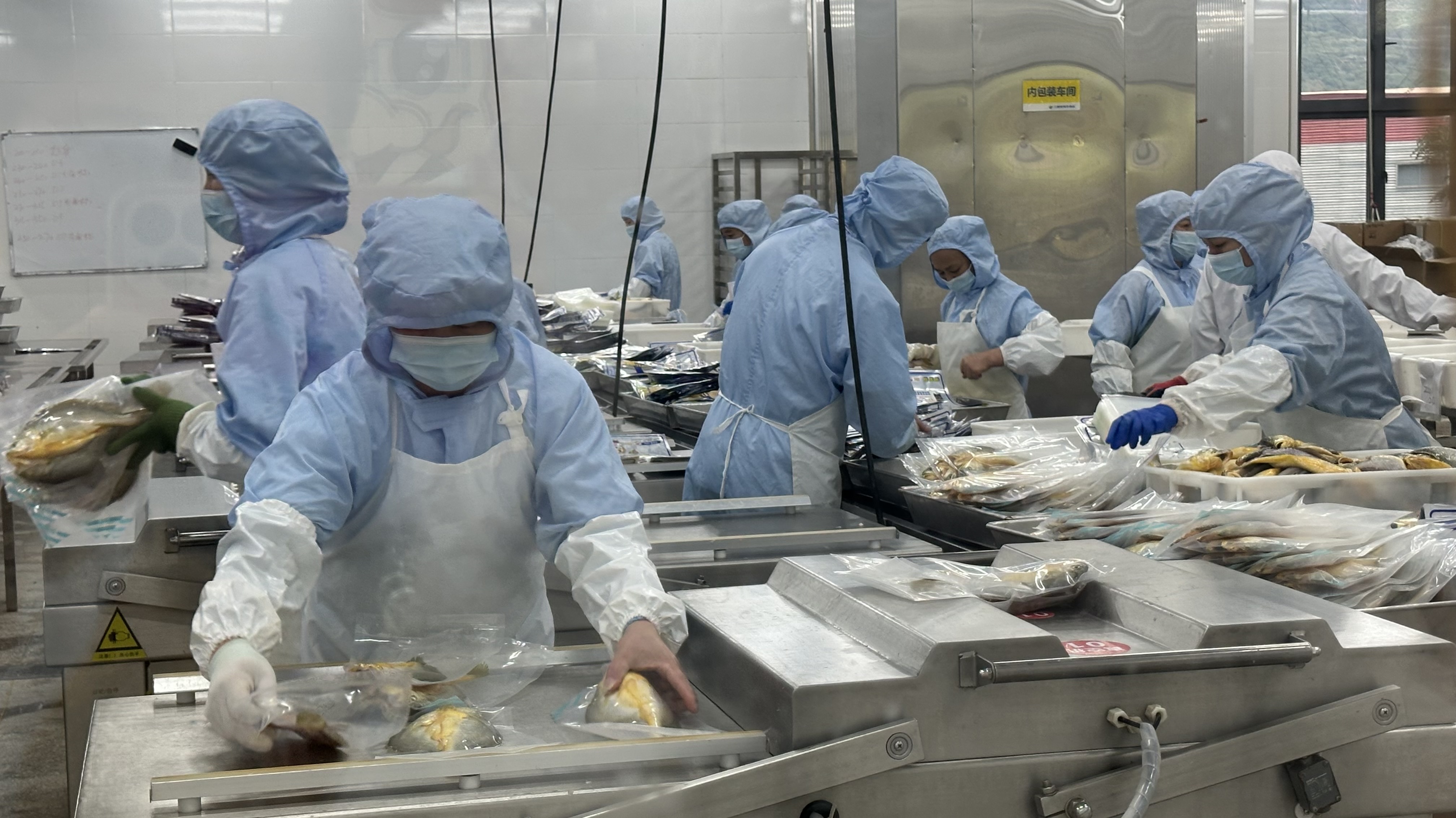 金盛水产车间。人民网记者 王绍绍摄