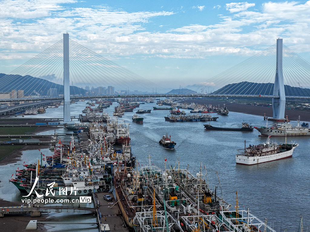 浙江舟山：渔船回港避“巴威”