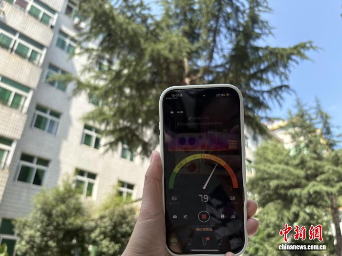 用测分贝软件测到的群蝉齐鸣时的分贝。祝欢 摄