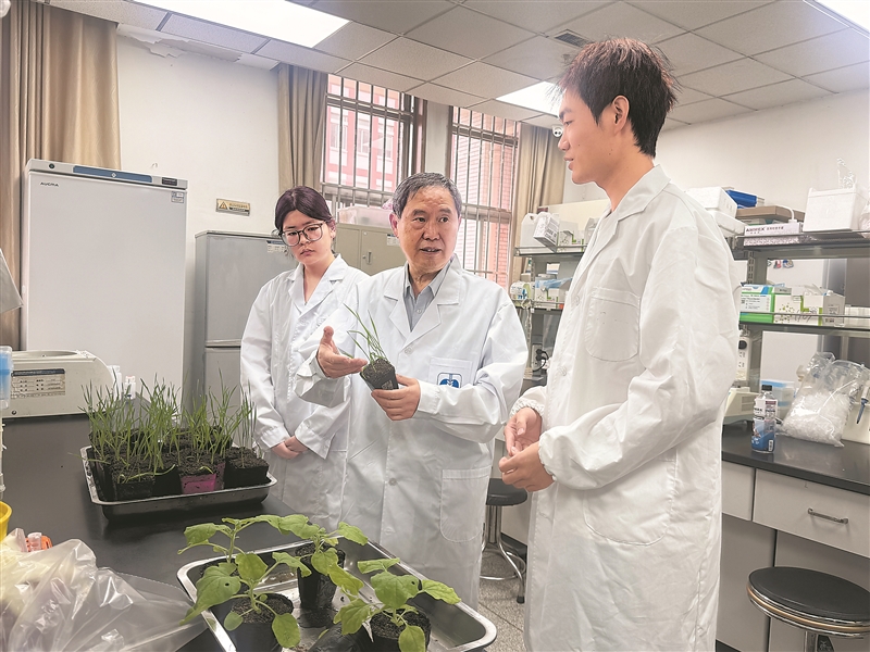 康振生(中)指导学生开展科研。 记者 王禹涵摄