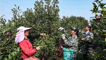 1604294236619794.jpg 1604294236619794.jpg