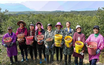 1604294278766692.jpg 1604294277(1).jpg