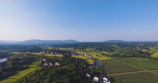 1605579659698429.png 1605579659698429.png