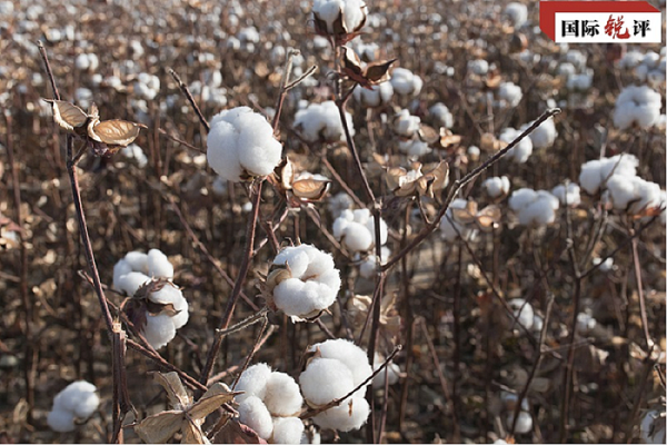 1617087172815688.png 6.png