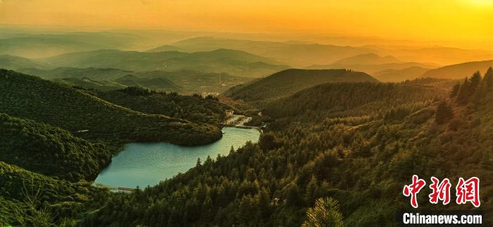 黄土高原“林海”护林员:“行走的绿色”越来越大