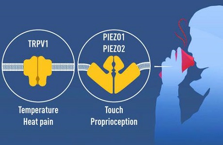 1633665548267780.jpg f863db74f4134fa78ed3870816e13d34.jpg