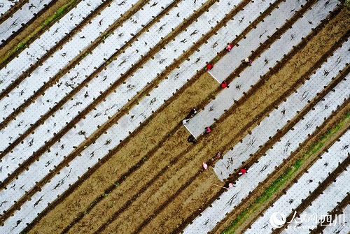 1646708777490037.jpg LOCAL202203070923000367138123422.jpg