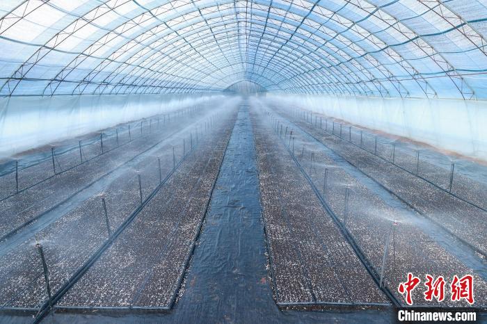 “农资忽悠团”制售假劣农资山西查办农业重点领域案件302件