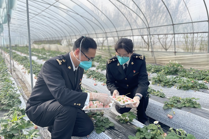 图为金华海关关员正在现场采样20220401项凤莲摄