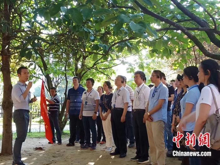 图为毛浩夫(左)在江西井冈山茨坪革命旧址群现场教学。(资料图)受访者供图 点击进入下一页