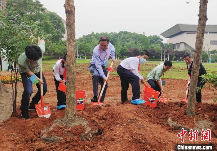 院士携手湖南省农业科学院青年代表、少先队员共同植树。 邓霞 摄 院士携手湖南省农业科学院青年代表、少先队员共同植树。 邓霞 摄