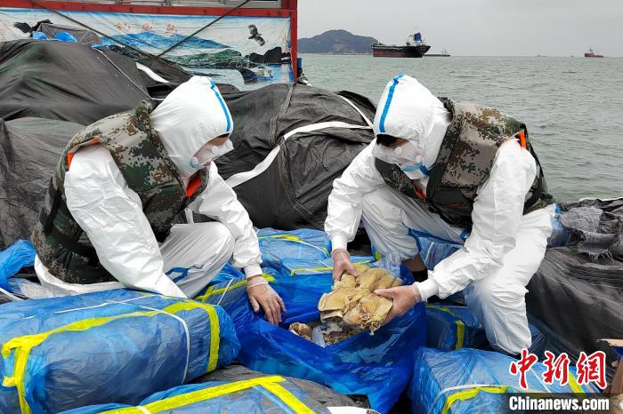 图为海警执法员检查涉案冻品。　福州海警局供图