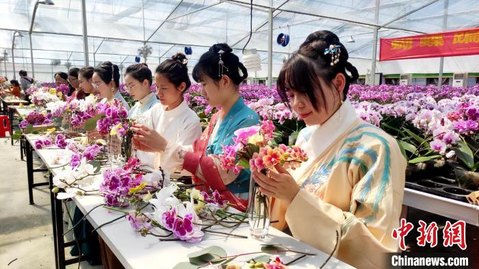 游客身穿汉服前往万花园林蝴蝶兰基地参与插花活动。　永定区融媒体中心供图