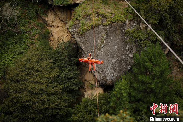 丛林中的橙色身影。 西绕拉翁 摄 丛林中的橙色身影。 西绕拉翁 摄