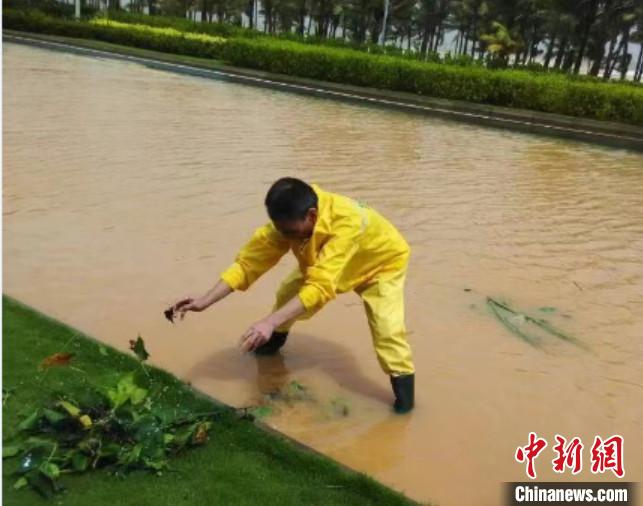 图为陈清琪在台风天气中排水。 陈清琪供图 图为陈清琪在台风天气中排水。 陈清琪供图