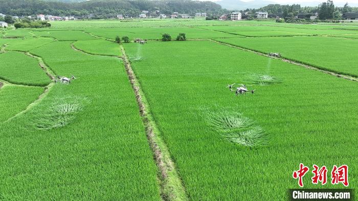 怀化靖州建成高标准农田25万余亩智慧种田轻松高效