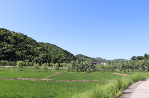 微信截图_20220813212733.png
