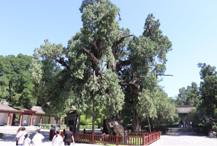 微信截图_20220813212746.png
