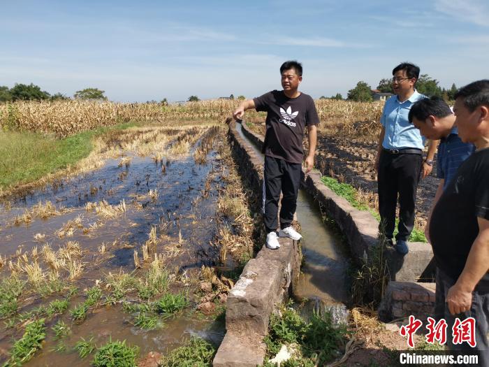 图为重庆合川区沙鱼镇友谊水库两级提灌站为农田“解渴”，最大程度降低农业生产损失。　重庆市水利局供图