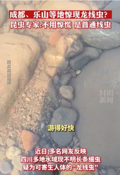 视频截图