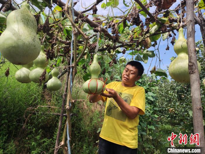 河北“80后”失聪匠人：一把刻刀雕出多彩人生
