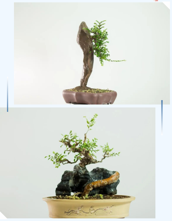微信截图_20220912091658.png