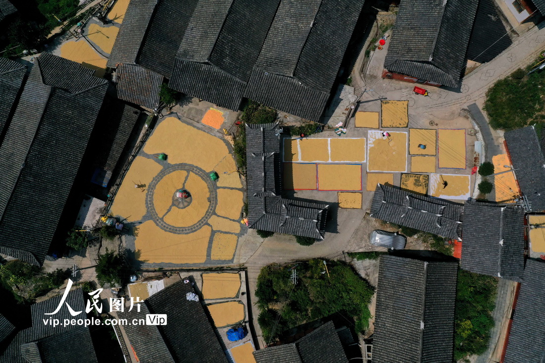 2022年9月17日，村民在贵州省黔东南苗族侗族自治州丹寨县兴仁镇王家村晾晒稻谷。