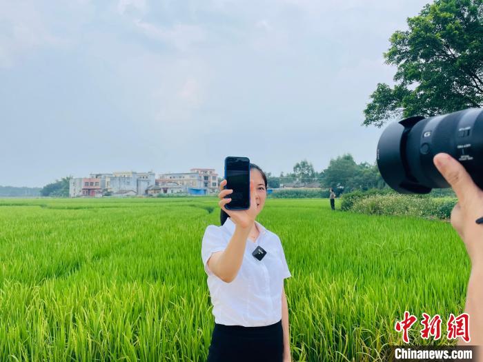 图为项目工作人员展示“云认养”直播画面。　黄令妍 摄