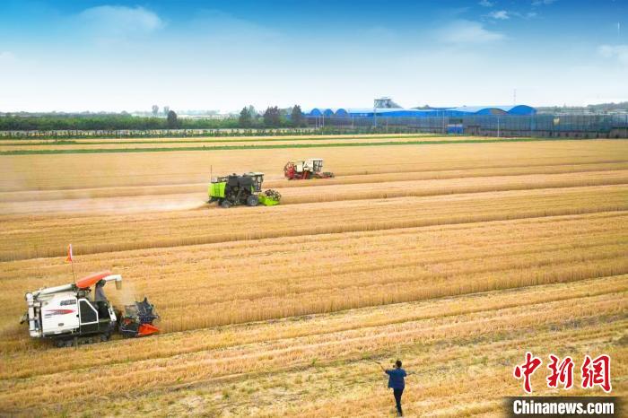 全国商品粮基地县山西曲沃:农业全面丰收铺就乡村振兴路