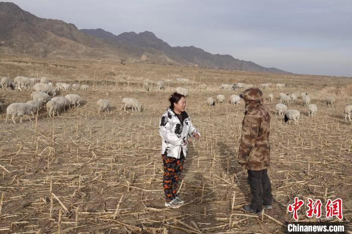 袁建琴向羊倌解释保护长城的重要性。袁建琴 供图 受访者袁建琴供图 袁建琴向羊倌解释保护长城的重要性。袁建琴 供图 受访者袁建琴供图