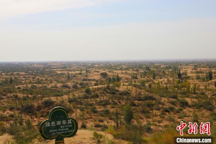 图为满眼绿色的库布其沙漠。 张林虎 摄 图为满眼绿色的库布其沙漠。 张林虎 摄