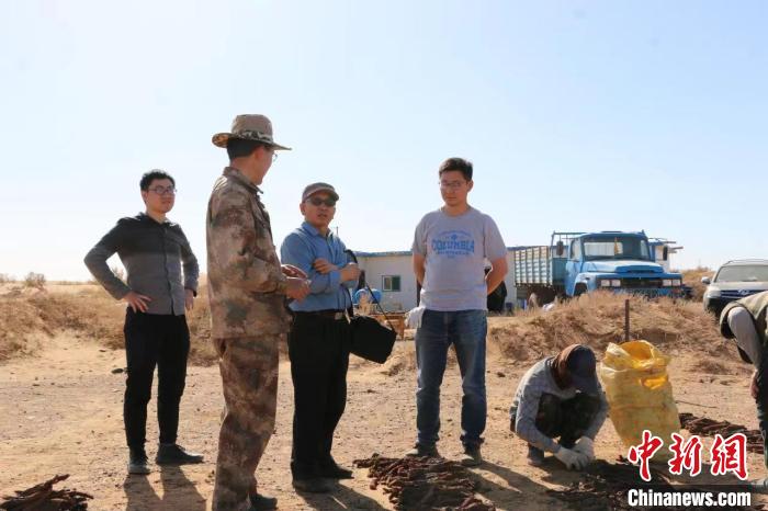 图为陈贵林团队正在田野调查。 陈贵林 供图 图为陈贵林团队正在田野调查。 陈贵林 供图
