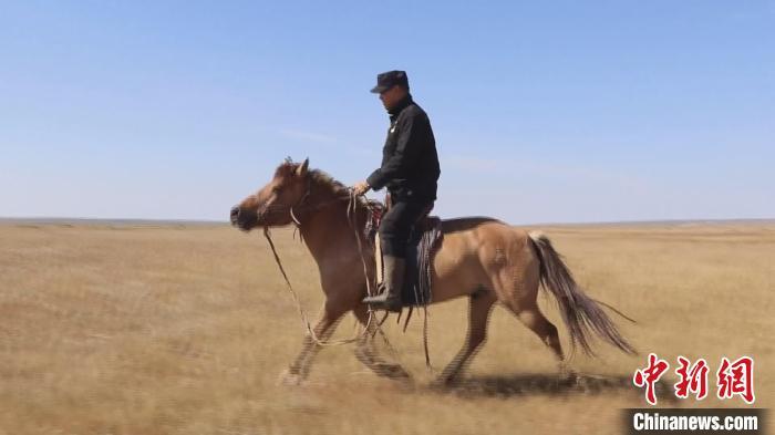 图为斯日门跨上它的老伙计“花儿”去巡边。 韩斌 摄 图为斯日门跨上它的老伙计“花儿”去巡边。 韩斌 摄