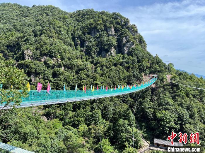 钢网索桥。 胡宇辉供图 钢网索桥。 胡宇辉供图