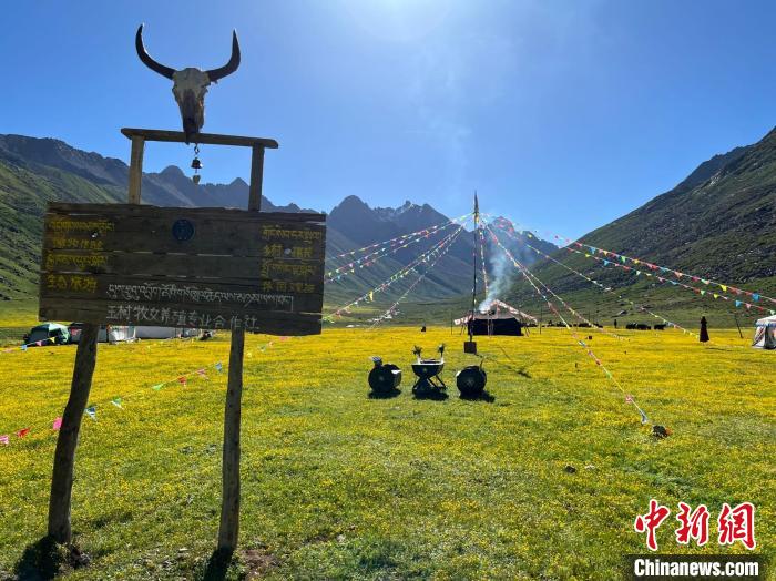 图为白卡经营的玉树牧女养殖专业合作社。 玉树市委宣传部供图 图为白卡经营的玉树牧女养殖专业合作社。 玉树市委宣传部供图