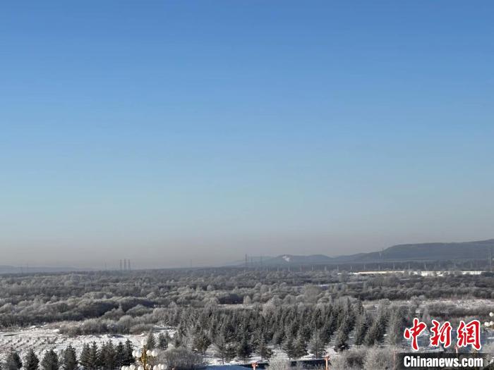 直降20.4℃！“中国冷极”断崖式降温再现“雾凇”景观