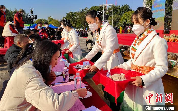 图为参赛评委对蒸好的芋头香气、口感进行评判。　杨宗盛 摄